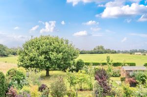 Photo 23- click for photo gallery